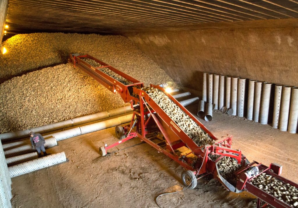 A piller in a Potato storage room.