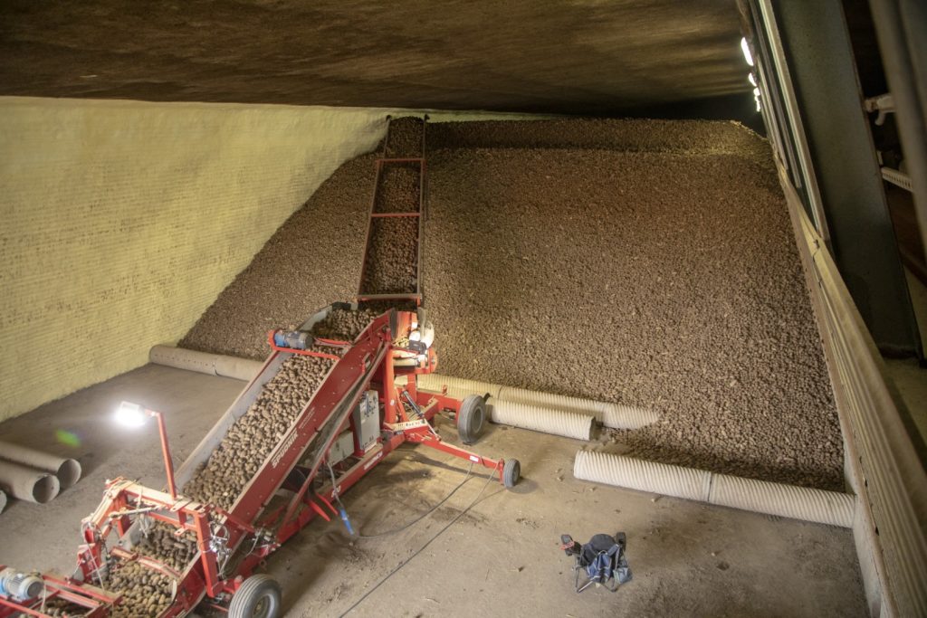 Spudnik piece of farming equipment loading a room with potatoes.