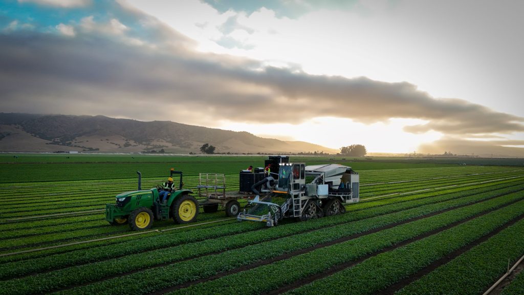 Spudnik Spinach Harvester in the field