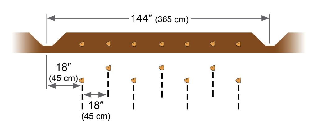 SPUDNIK 8047 Bed