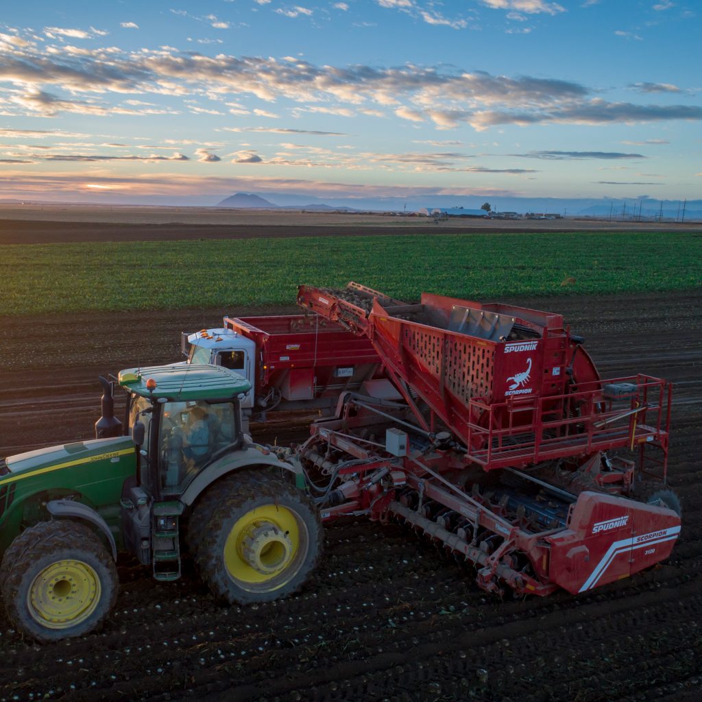 ヒッパーズ Harvest Series 30個 12 Row Sugarbeet Harvester | Spudnik Equipment | Idaho