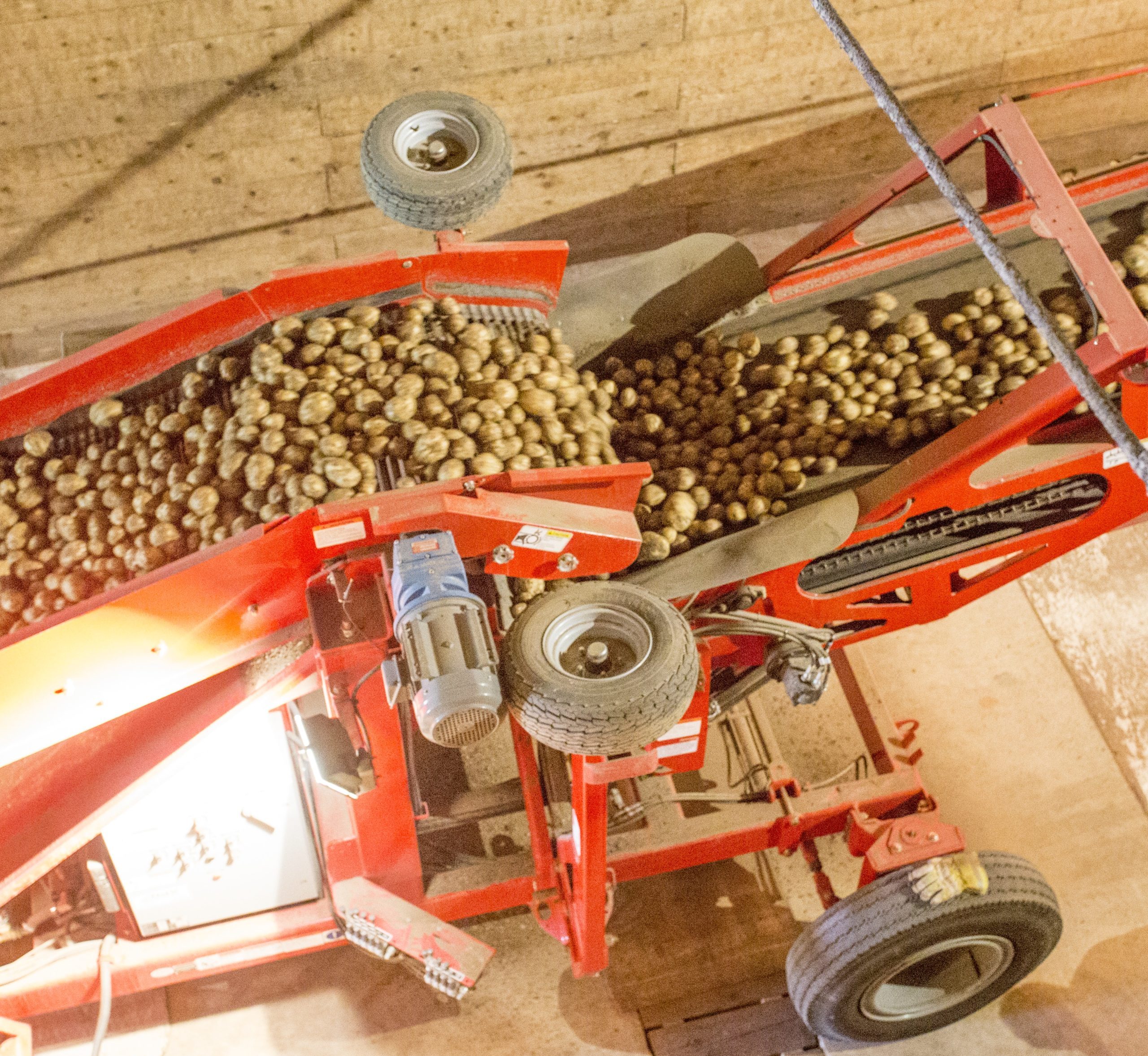 480 – Small Frame Piler in a storage room with potatoes.