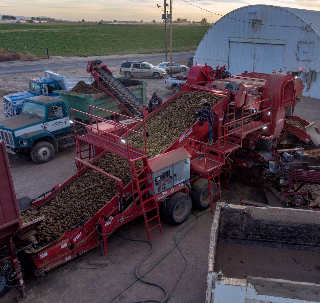 Spudnik's 994 – AirSep Potato Eliminator in use.