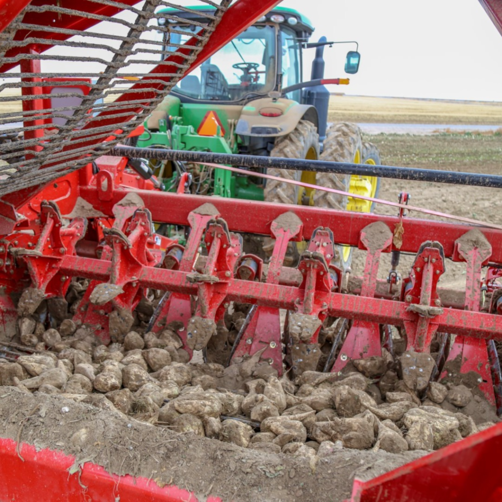 ヒッパーズ   Harvest Series  30個 12 Row Sugarbeet Harvester | Spudnik Equipment | Idaho