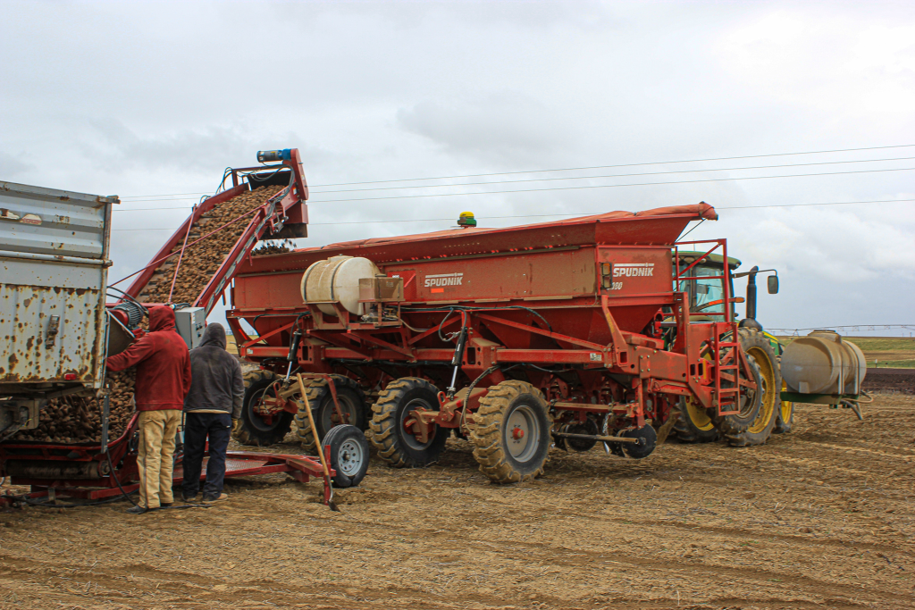 30” Planter Filling Conveyor and two men in a farm.
