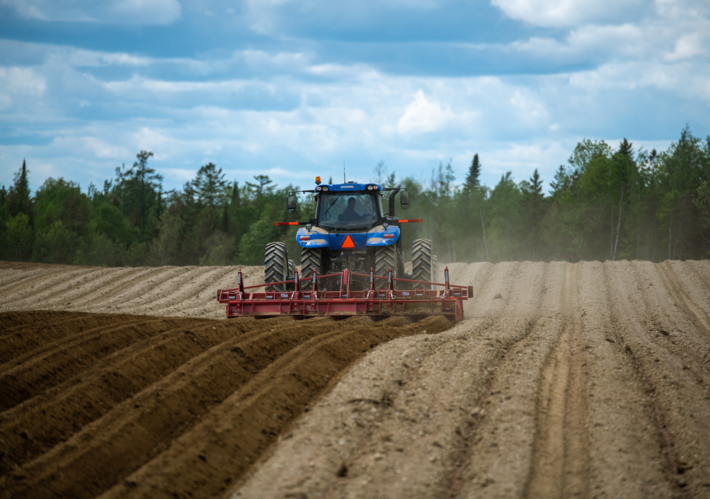 Spudnik's 6 Row Ridge Potato Hiller attached to a blue tractor is being used in a farm.