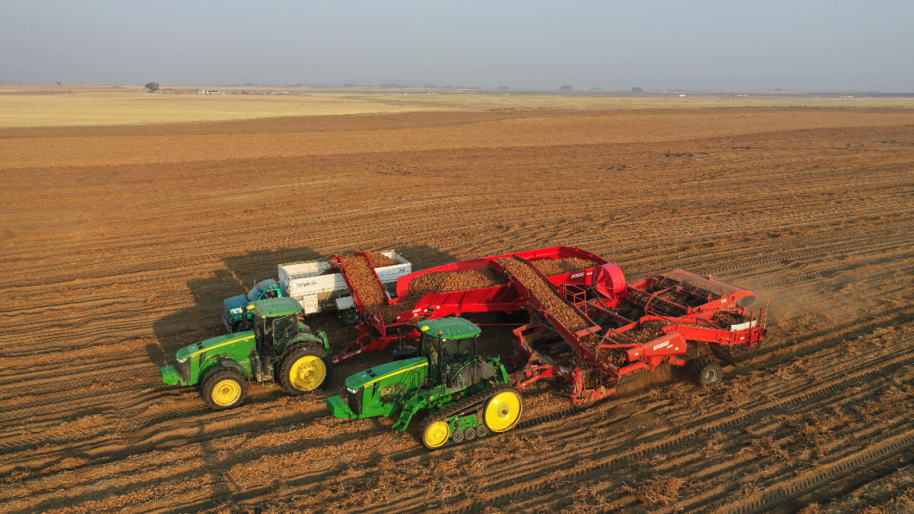 2 Spudnik's 35 Ton Potato Carts and 2 tractors in a farm.